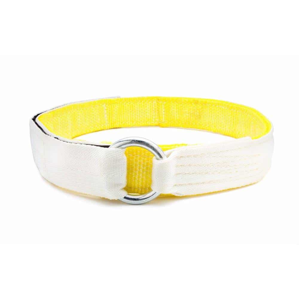 Bench Belt
