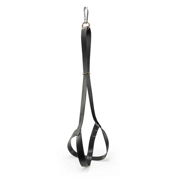 Charger Harness