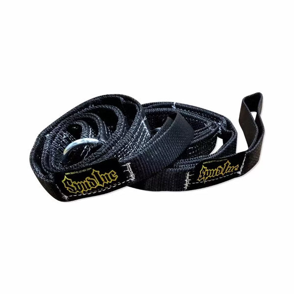 Swing Set Straps (PAIR)