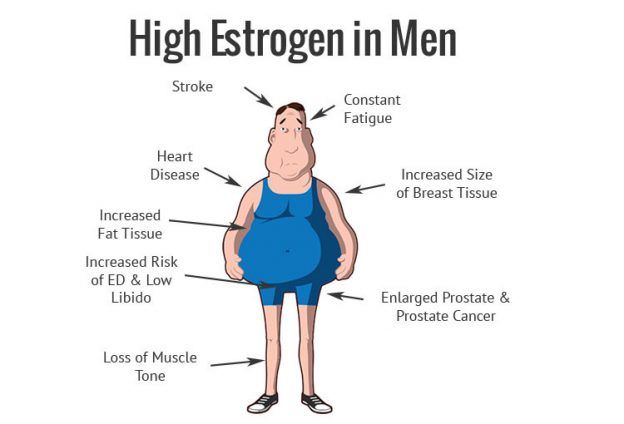 Estrogen is a Bitch
