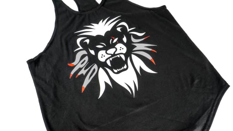 Small Pics King of the Iron Shirt and Stringer 8